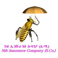 Nib Insurance Company (S.C)